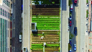 Sáng kiến công nông nghiệp thông minh cho đô thị thông minh